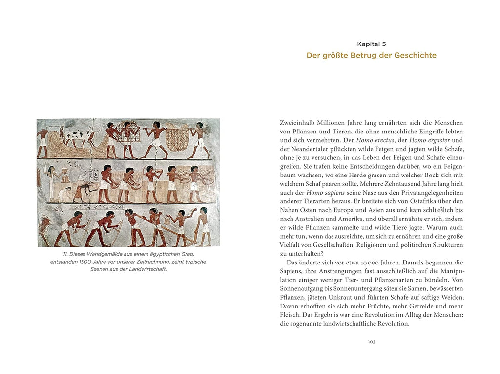Eine kurze Geschichte der Menschheit – Yuval Noah Harari – Illustrierte Hardcover-Ausgabe – Neu