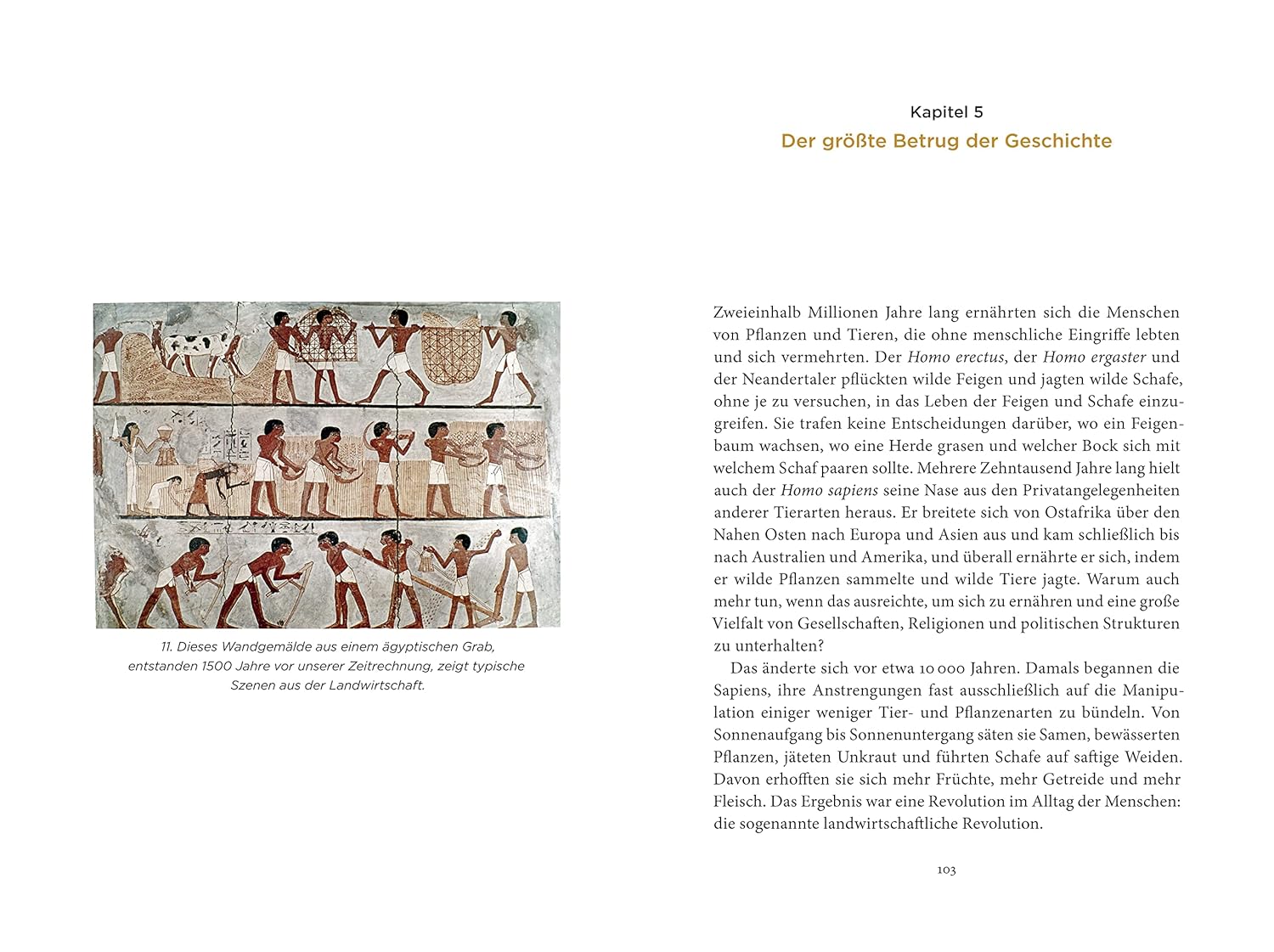 Eine kurze Geschichte der Menschheit – Yuval Noah Harari – Illustrierte Hardcover-Ausgabe – Neu