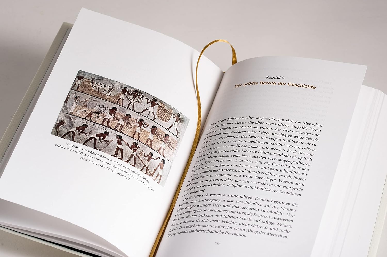 Eine kurze Geschichte der Menschheit – Yuval Noah Harari – Illustrierte Hardcover-Ausgabe – Neu